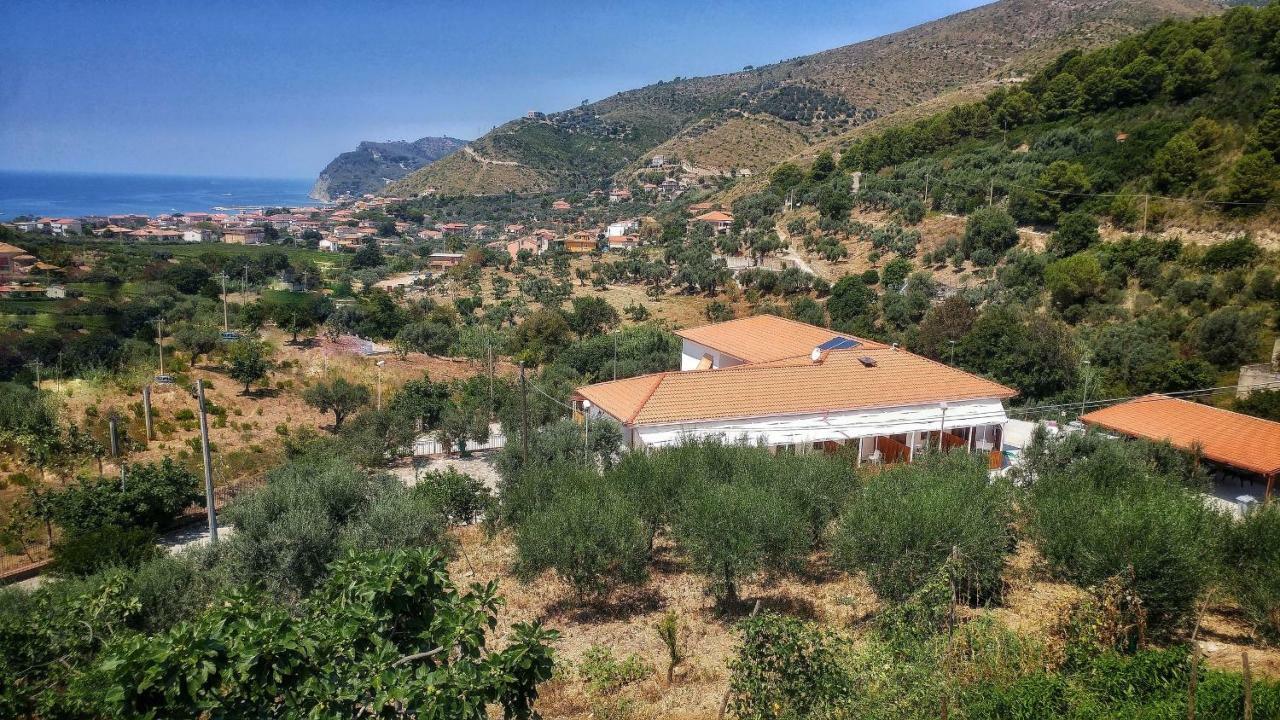Agnone Cilento Tenuta Marga מראה חיצוני תמונה